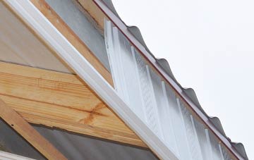 why Meadowbank fascia repairs are essential